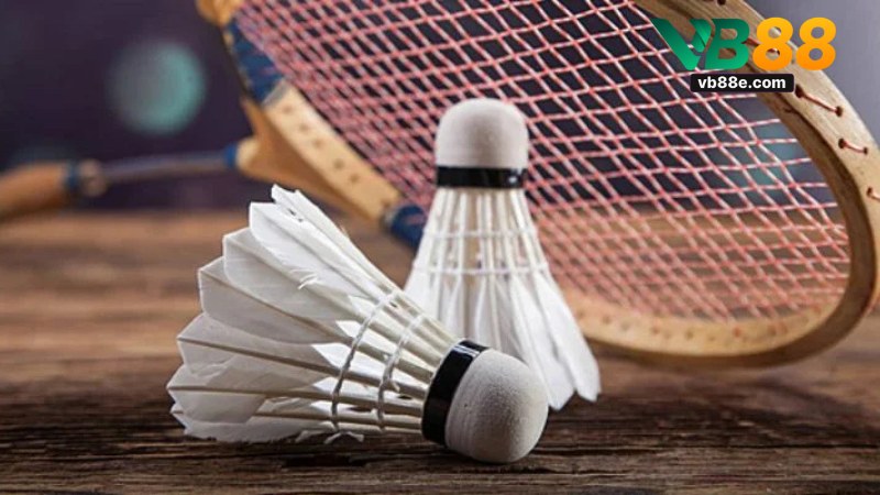 Đòn Lối Của Gà Chọi: Hướng Dẫn Chuyên Sâu Vb88 Cho Sư Kê - Winkivo68