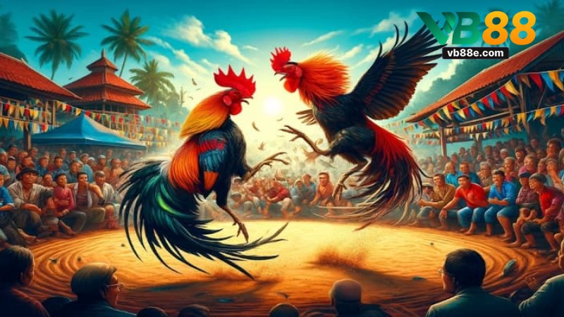 Đá Gà VB88: Hướng Dẫn Toàn Diện Cho Người Chơi - Winkivo68