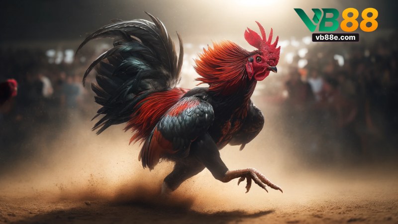 Đá Gà Cựa Dao Vb88: Hướng Dẫn Chi Tiết Và Chiến Thuật - Winkivo68