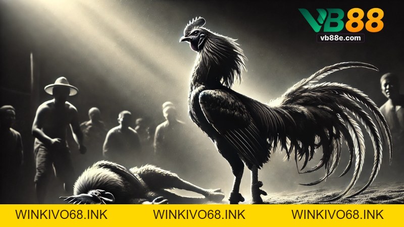 Đá Gà Cựa Dao Vb88: Hướng Dẫn Chi Tiết Và Chiến Thuật - Winkivo68