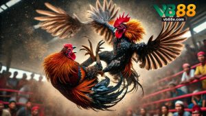 VB88 – Link Trải Nghiệm Cá Cược Đỉnh Cao Năm 2026 - Winkivo68