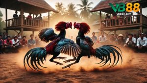 VB88 – Link Trải Nghiệm Cá Cược Đỉnh Cao Năm 2026 - Winkivo68