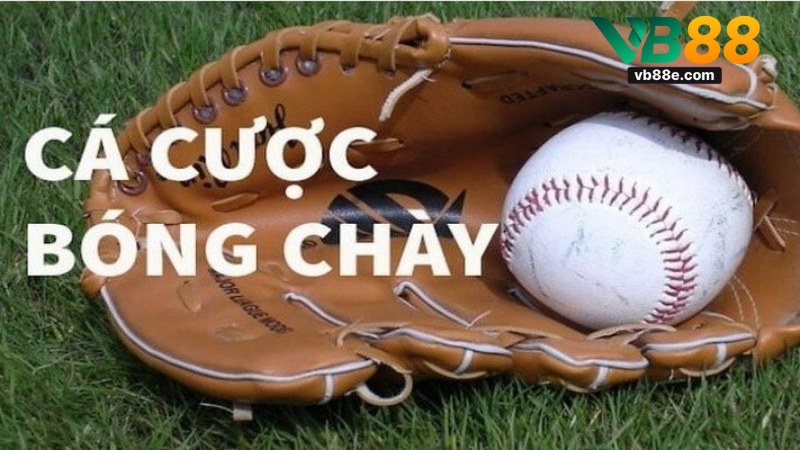 Cá Cược Bóng Chày: Hướng Dẫn Toàn Diện Cho Người Chơi Vb88 - Winkivo68