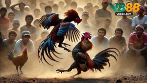 VB88 – Link Trải Nghiệm Cá Cược Đỉnh Cao Năm 2026 - Winkivo68